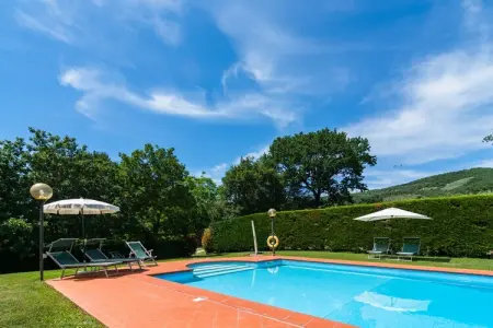 Il giardino - Gîte Toscane 6 pers. piscine : photo 31