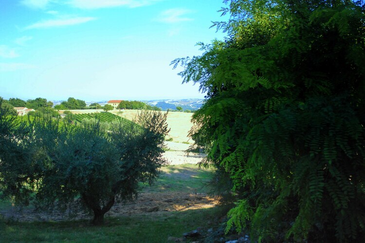 Casa Lella – Maison 9 personnes, jardin et barbecue - Photo 32