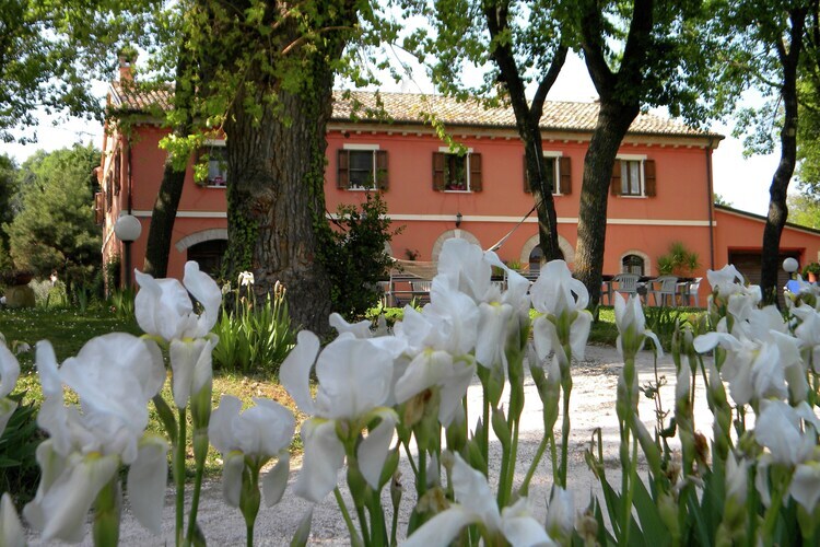 Casa Lella – Maison 9 personnes, jardin et barbecue - Photo 39