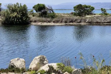 Location appartement à LEUCATE, Studio pour 4 Personnes