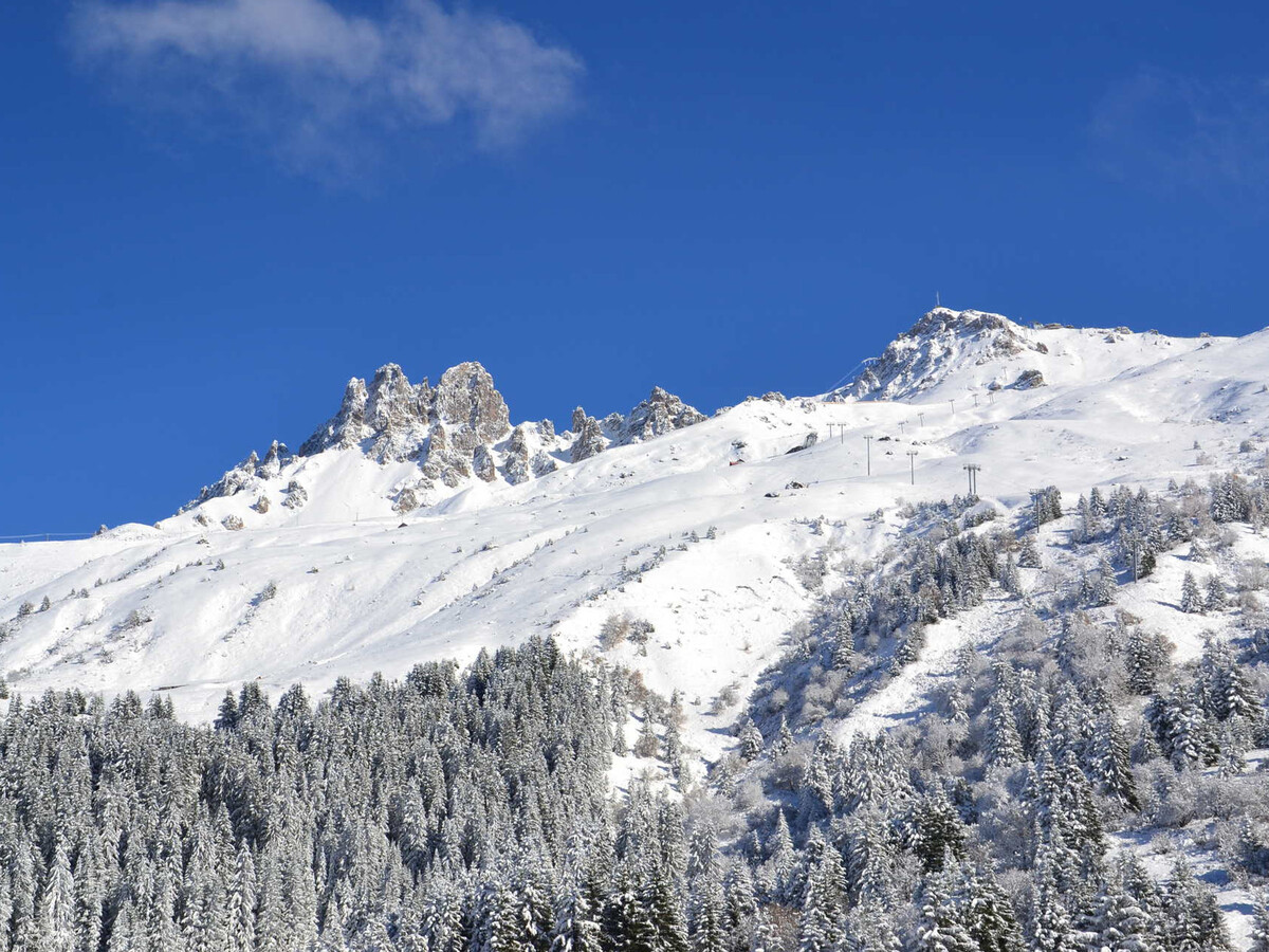 4 pièces cabine 10 pers, sauna infrarouge, Méribel - Photo 22