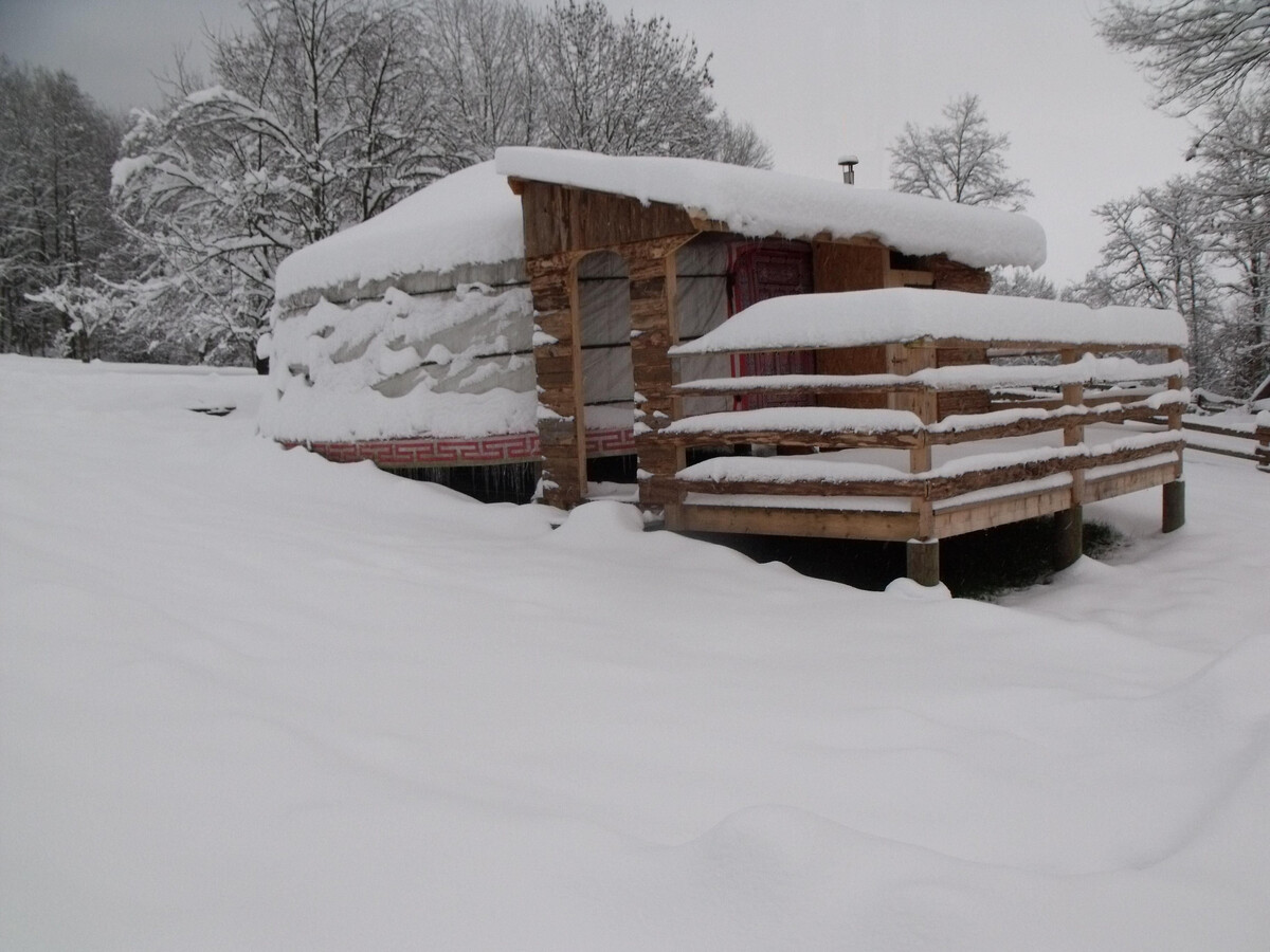Yourte avec sauna privé et terrasse plein sud à Ferdrupt - Photo 2