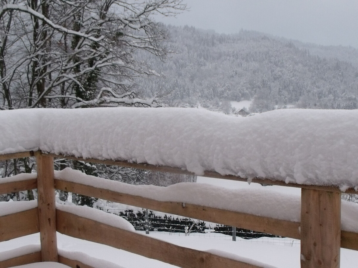 Yourte avec sauna privé et terrasse plein sud à Ferdrupt - Photo 9