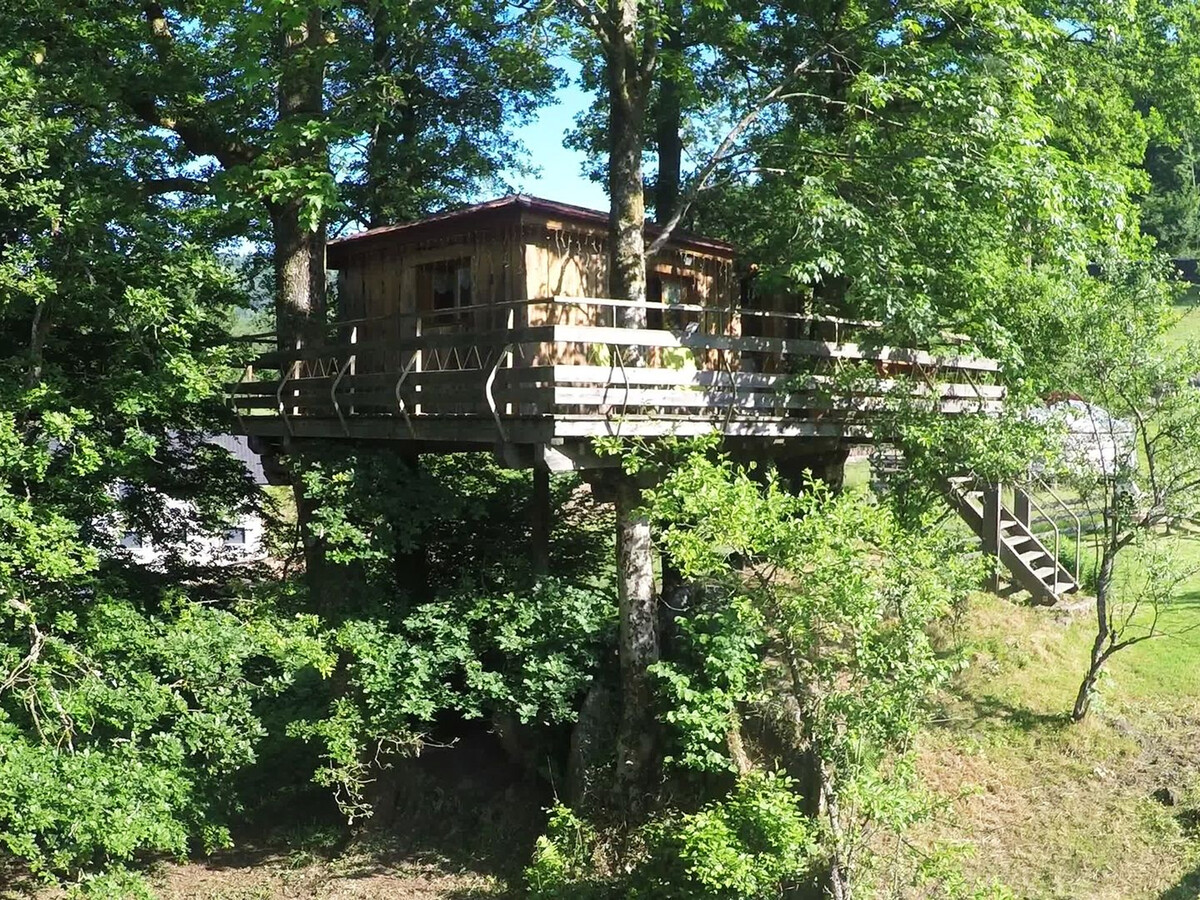 Cabane perchée avec terrasse, sauna et BBQ à Ferdrupt - Photo 1