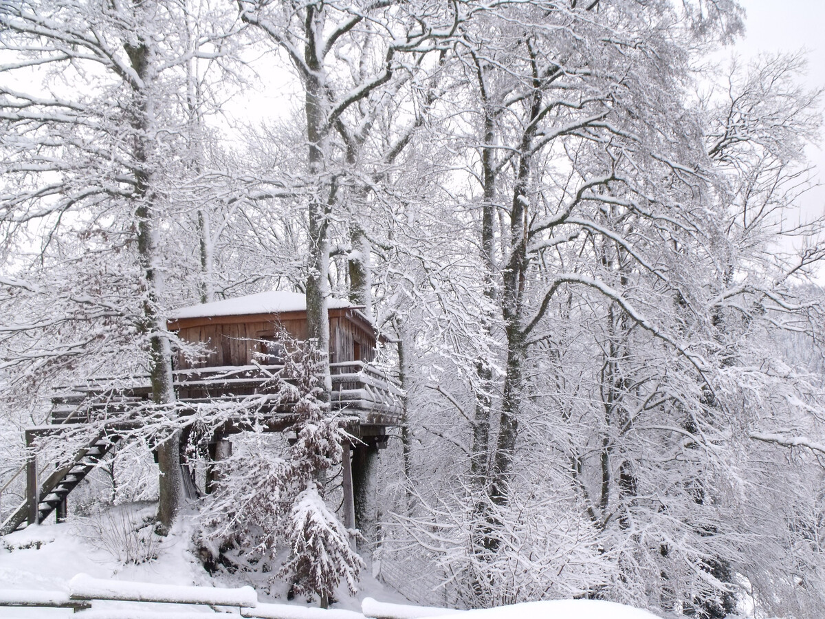 Cabane perchée avec terrasse, sauna et BBQ à Ferdrupt - Photo 2