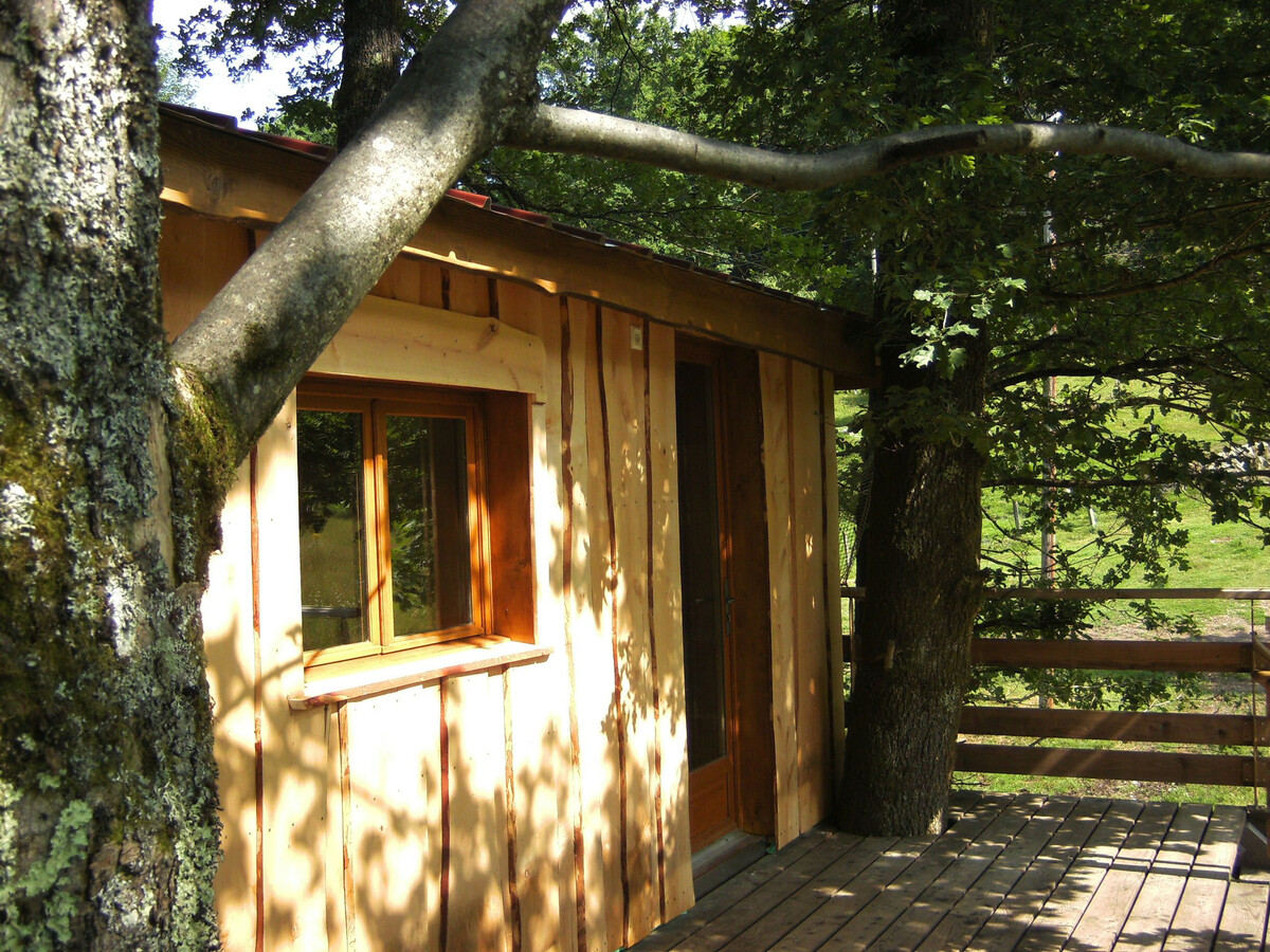 Cabane perchée avec terrasse, sauna et BBQ à Ferdrupt - Photo 3
