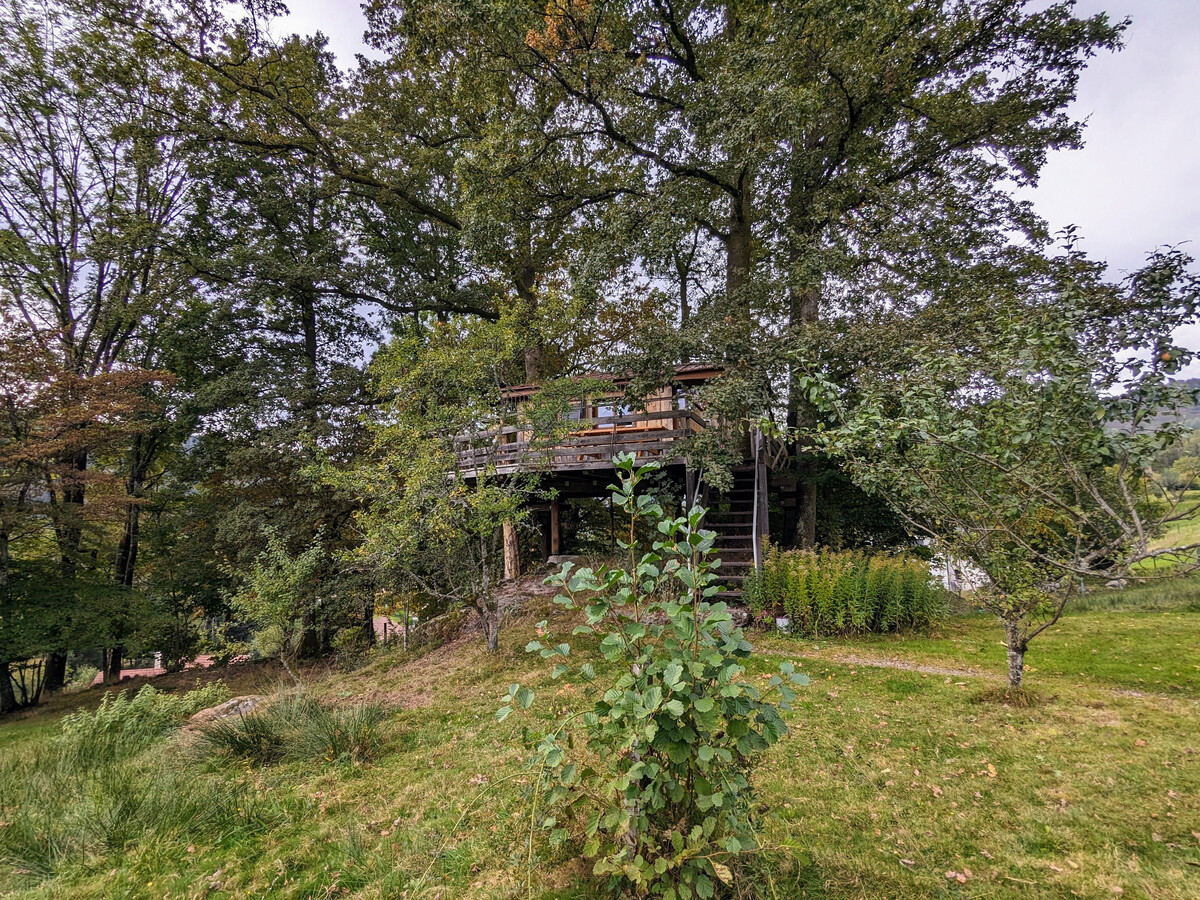 Cabane perchée avec terrasse, sauna et BBQ à Ferdrupt - Photo 9