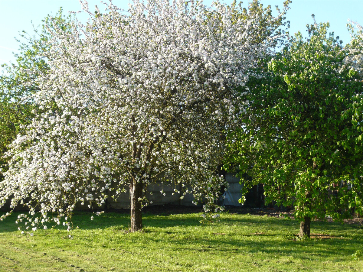 Gîte moderne 8 personnes, jardin et terrasse à Épieds-en-Beauce - Photo 19