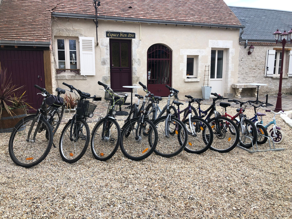 Gîte 6 pers. avec spa et sauna à Chécy - Photo 3