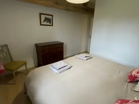 Gîte de plain-pied en Sologne, pêche et étang privé : photo 7