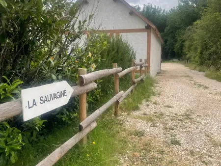 Gîte de plain-pied en Sologne, pêche et étang privé : photo 16