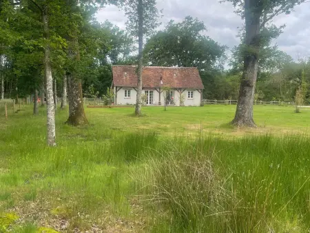 Gîte de plain-pied en Sologne, pêche et étang privé : photo 20