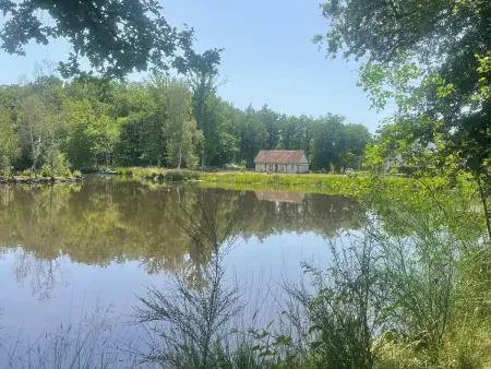 Gîte de plain-pied en Sologne, pêche et étang privé : photo 21
