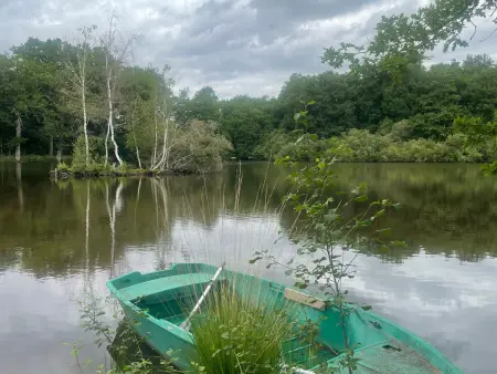 Gîte de plain-pied en Sologne, pêche et étang privé : photo 22