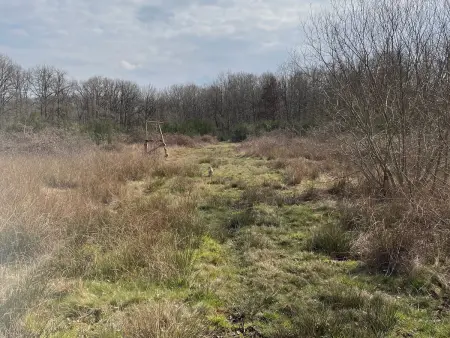 Gîte de plain-pied en Sologne, pêche et étang privé : photo 24