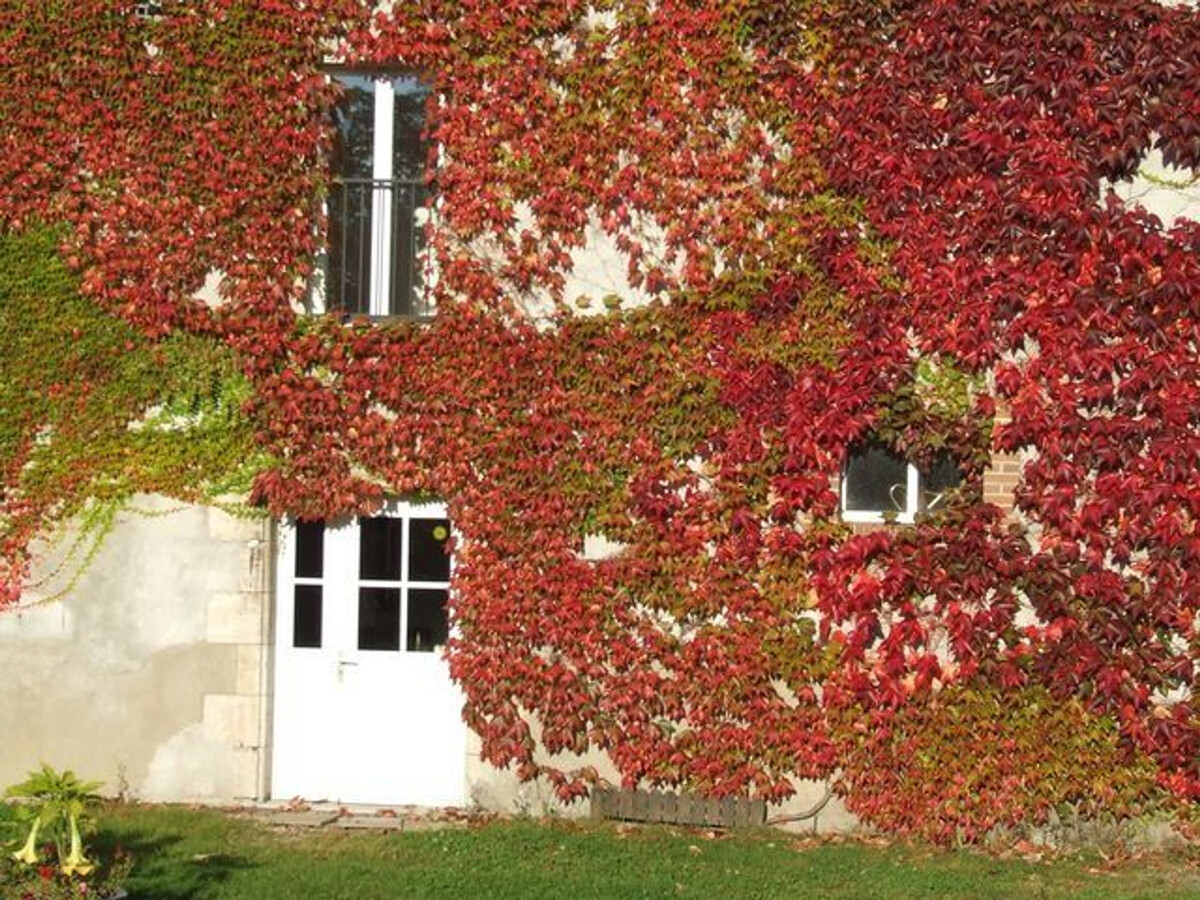 Gîte en ancienne grange, 8 personnes, terrasse et forêt - Photo 25