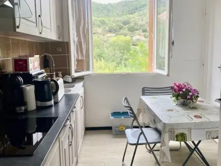 F3 lumineux 61m² avec loggia - Amélie-les-Bains : photo 3