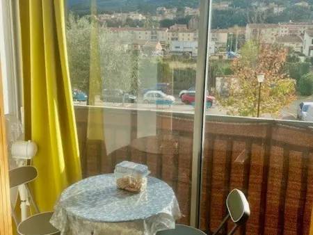 F3 lumineux 61m² avec loggia - Amélie-les-Bains : photo 9