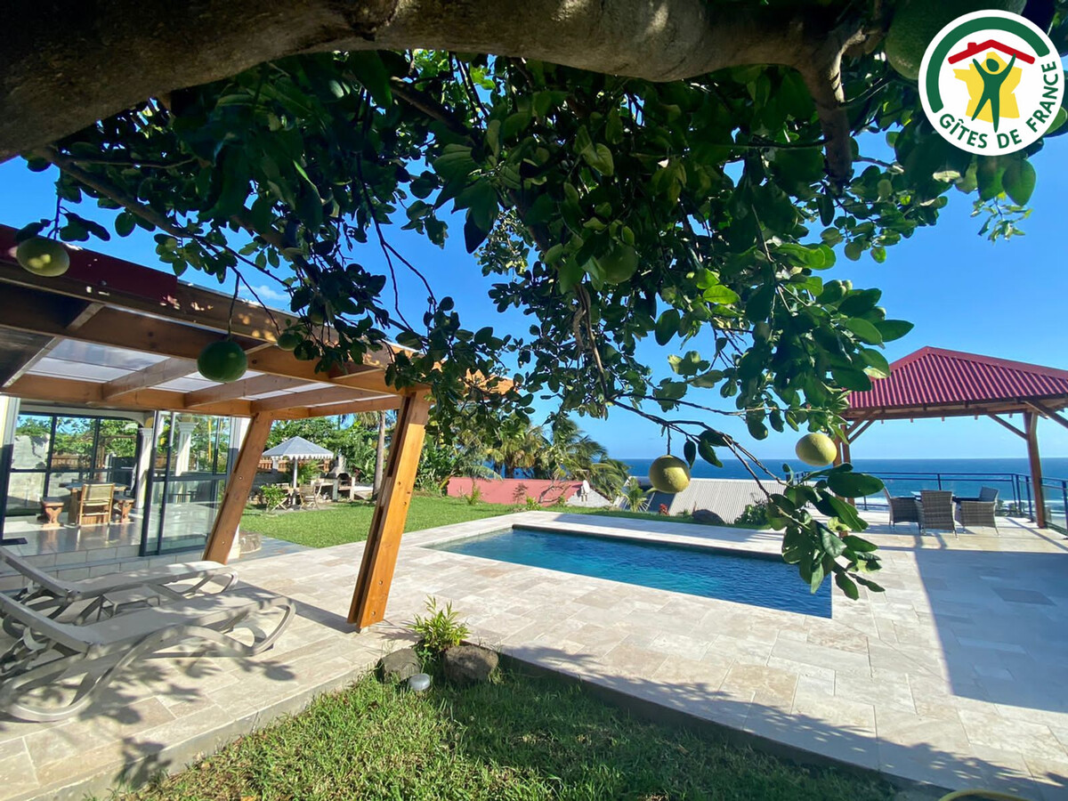 Gîte 4 pers à Saint-Pierre : piscine, vue océan et baleines - Photo 19