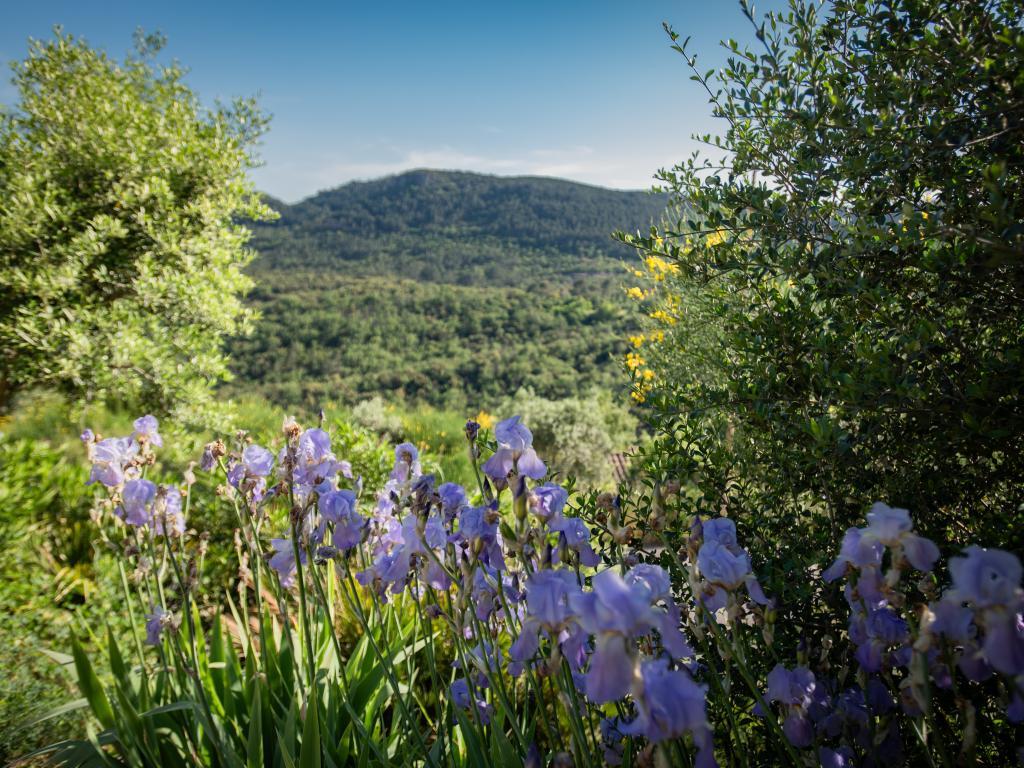 Le Rayol – Maison 8 pers. avec piscine à Bagnols-en-Forêt - Photo 34