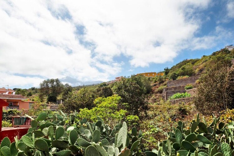 La casa de Amalia – Maison avec vue montagne - Photo 14