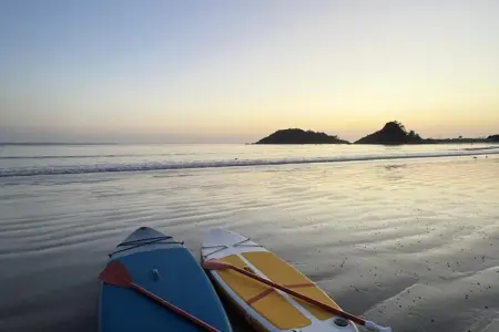 Location maison à Remise des clés au logement
