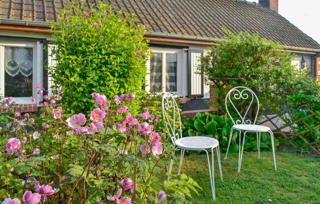Superb gite with jacuzzi, Maison 4 personnes à ERINGHEM - Photo 2