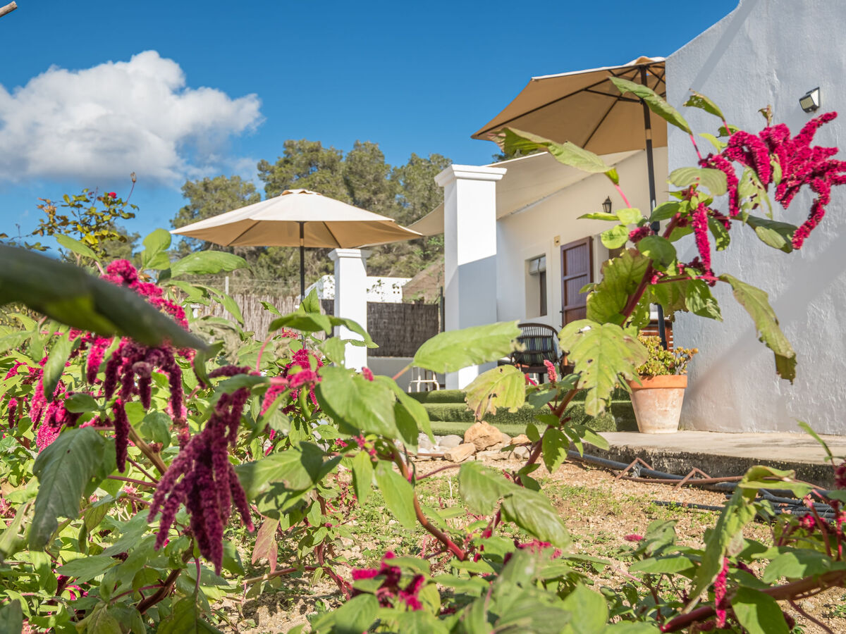 Can Verdal, maison rénovée avec piscine privée à Sant Miquel - Photo 33