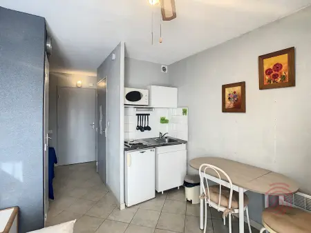 Studio 17 m² lumineux près thermes, animaux acceptés : photo 4