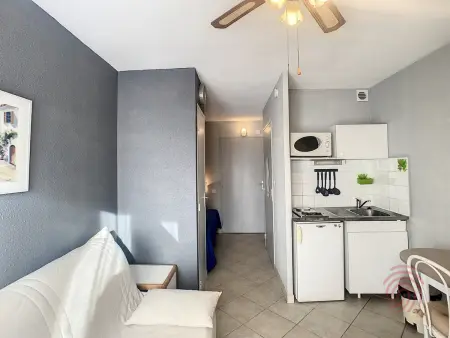 Studio 17 m² lumineux près thermes, animaux acceptés : photo 6