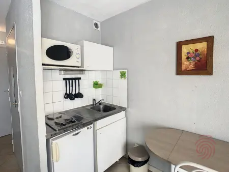 Studio 17 m² lumineux près thermes, animaux acceptés : photo 7