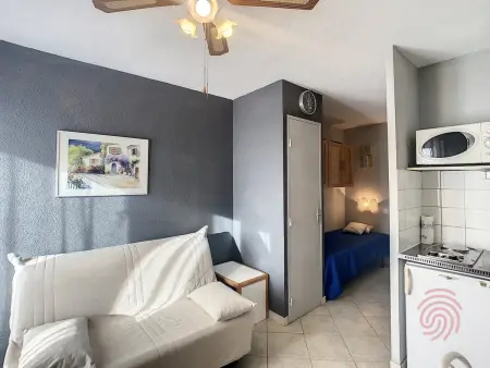 Studio 17 m² lumineux près thermes, animaux acceptés : photo 8