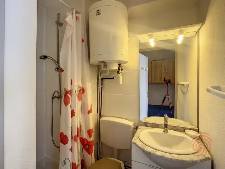 Studio 17 m² lumineux près thermes, animaux acceptés : photo 10
