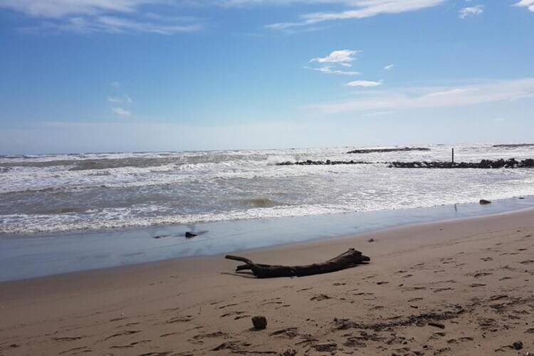 Villa La Dune N°56 - 3 pièces, 450 m de la plage - Photo 14