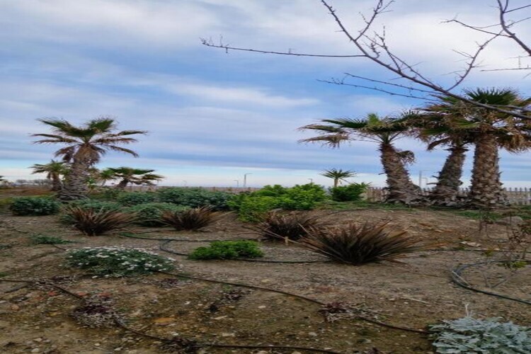 Villa La Dune N°60 à 450m de la plage de Sérignan - Photo 21