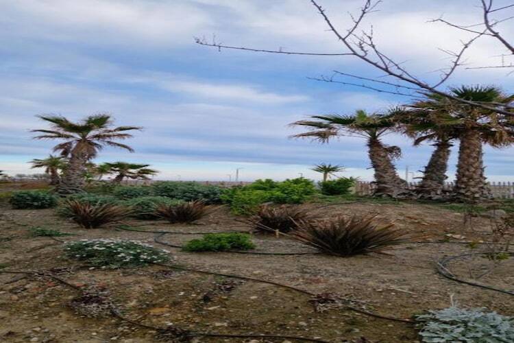 Villa La Dune N°22 à 450 m de la plage - Photo 38