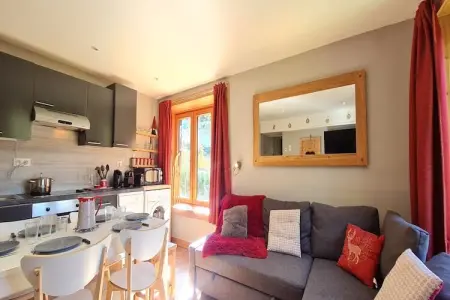 Chalet 2P6 aux Deux Alpes, 75 m de la station : photo 2