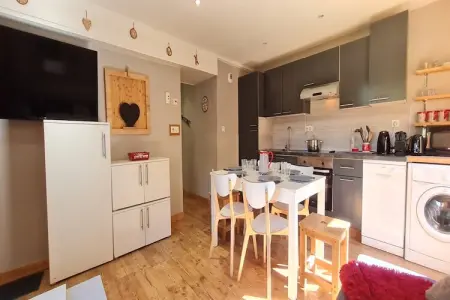 Chalet 2P6 aux Deux Alpes, 75 m de la station : photo 14