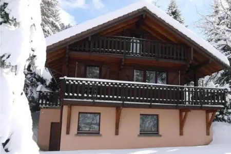 Le Renne – Chalet bois avec spa à La Bresse : photo 7