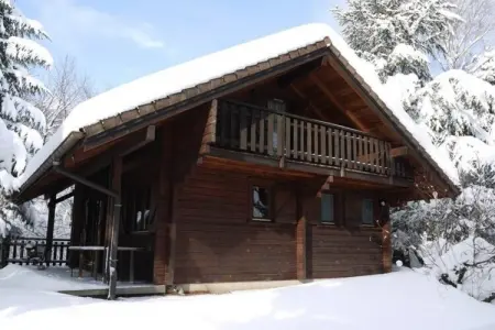 Le Renne – Chalet bois avec spa à La Bresse : photo 8