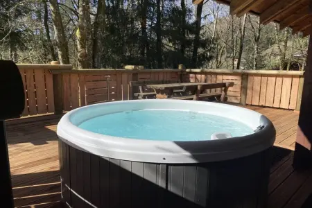 Le Renne – Chalet bois avec spa à La Bresse : photo 24