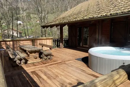 Le Renne – Chalet bois avec spa à La Bresse : photo 25