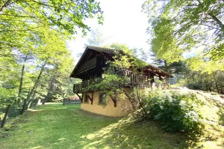 Le Renne – Chalet bois avec spa à La Bresse : photo 26
