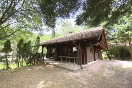 Le Grizzly, chalet bois en bord de rivière à La Bresse : photo 28