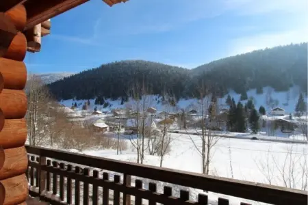 Le Grand Cerf, chalet spa à La Bresse : photo 4
