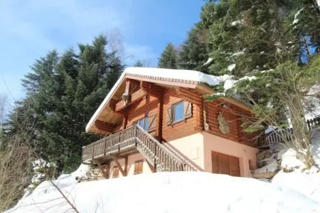 Le Grand Cerf, chalet spa à La Bresse : photo 5