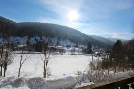 Le Grand Cerf, chalet spa à La Bresse : photo 8
