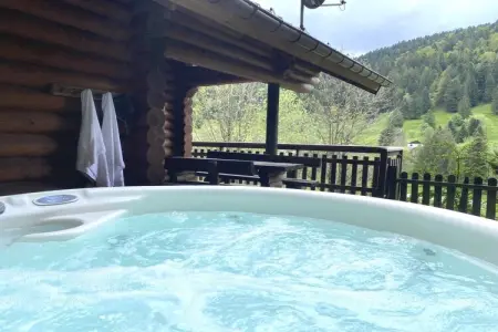 Le Grand Cerf, chalet spa à La Bresse : photo 27