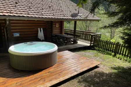 Le Grand Cerf, chalet spa à La Bresse : photo 28
