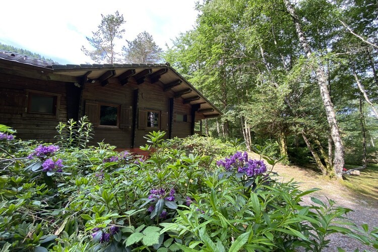 Le Fishing Lodge - Chalet bain nordique La Bresse - Photo 41